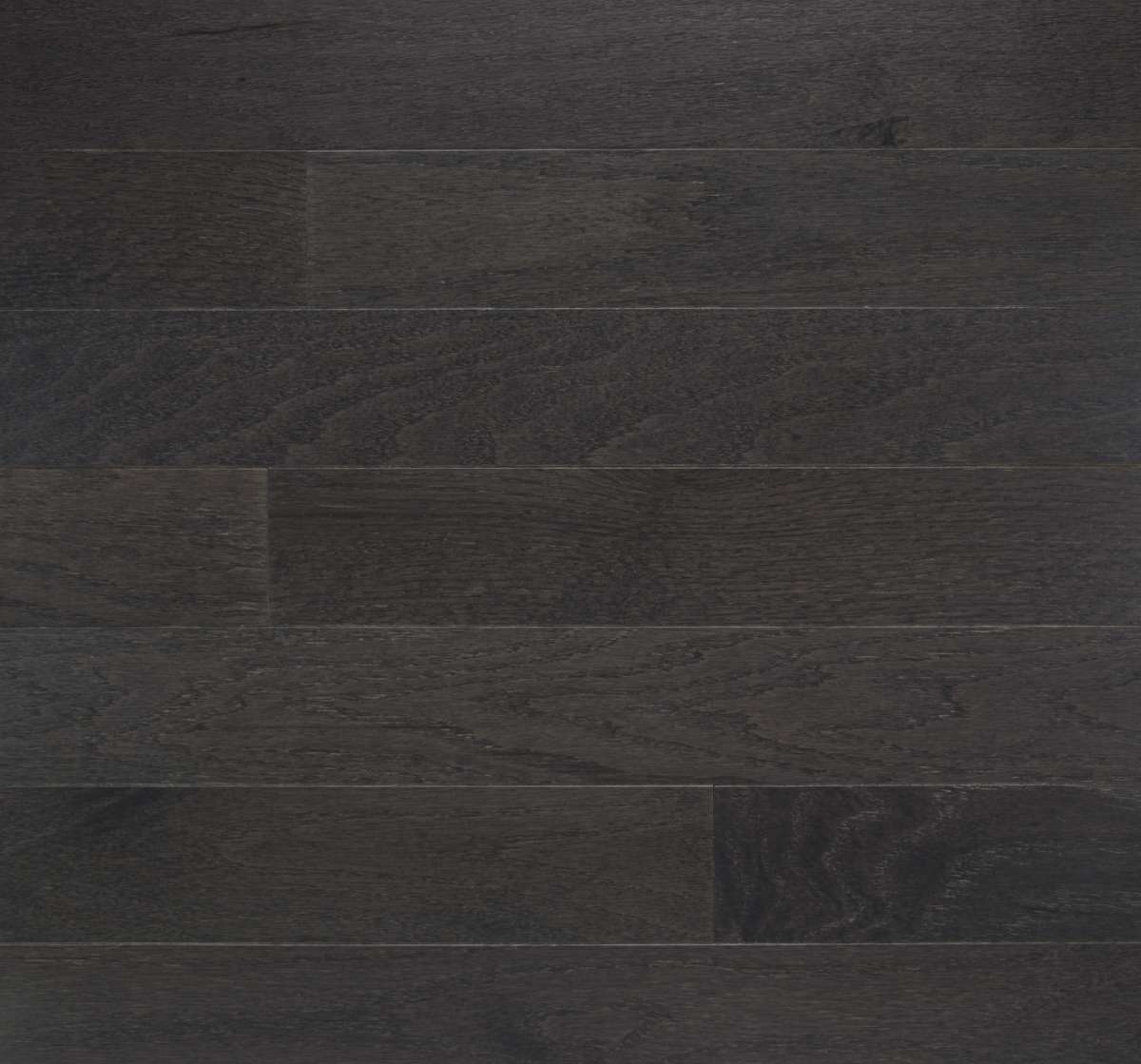 Urban Gray
